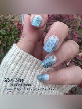 🔮 $5 Add on. Color Street Nail Polish Strips - Blue Dove